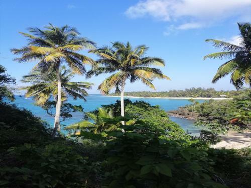 Aparthotel House Jardin Del Caribe
