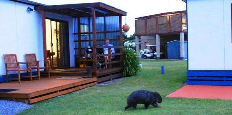 Big4 Kelso Sands Holiday Park