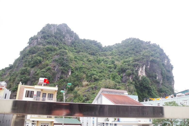 Hotel Golden Forest Homestay