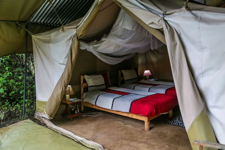 Punda Milias Camp Nakuru
