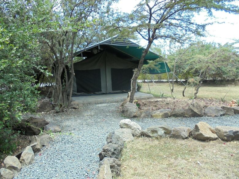 Punda Milias Camp Nakuru