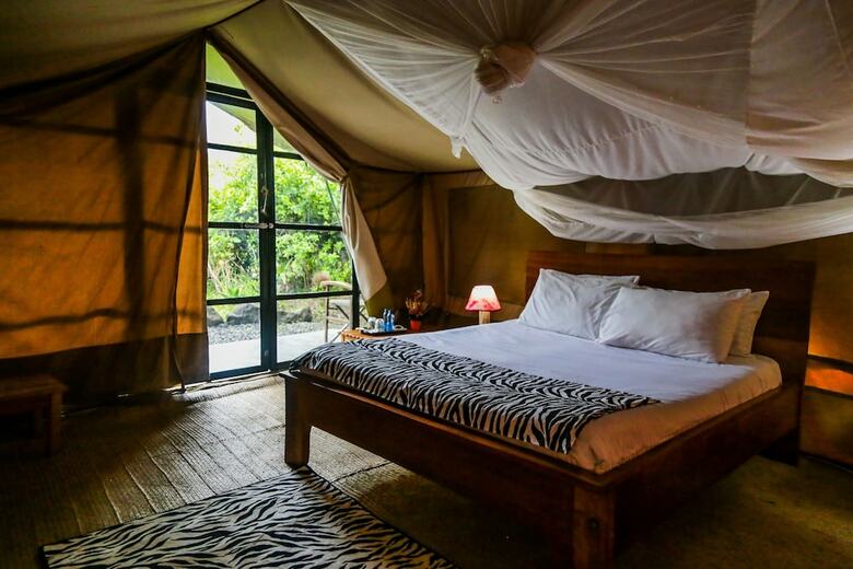 Punda Milias Camp Nakuru