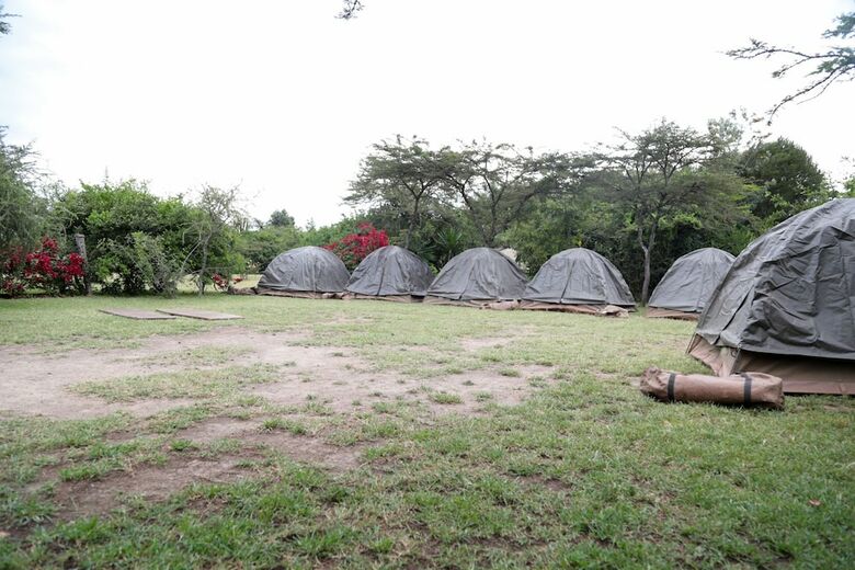 Punda Milias Camp Nakuru