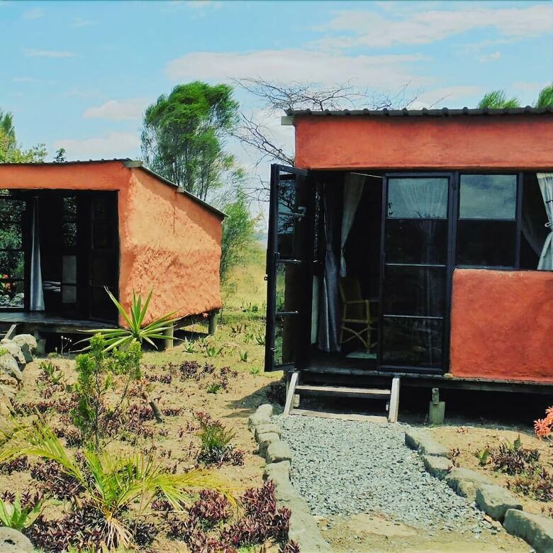 Punda Milias Camp Nakuru