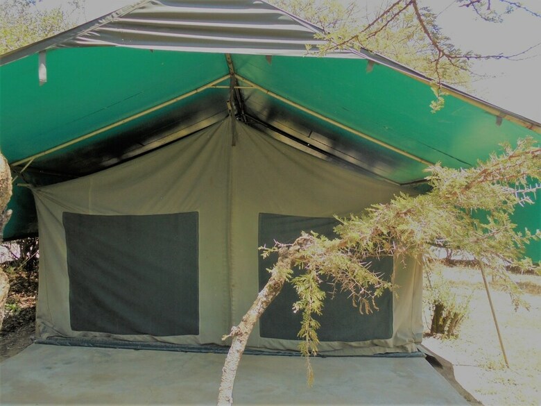 Punda Milias Camp Nakuru
