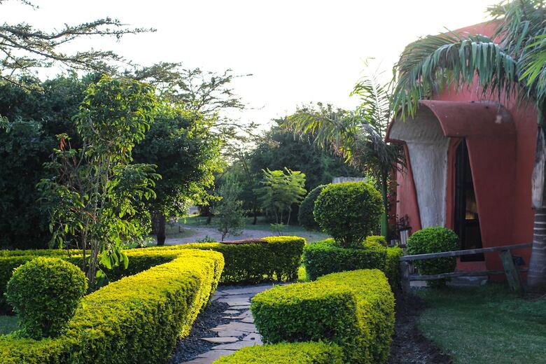 Punda Milias Camp Nakuru