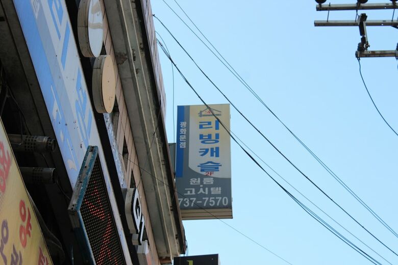 Hotel Living Castle Single Room
