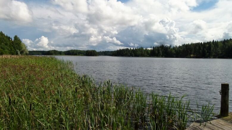 Cabana Salkolahti Vehmaanpirtti
