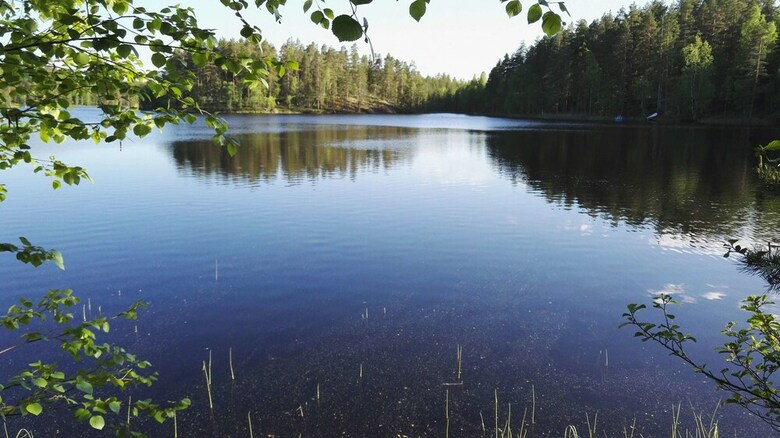 Villa Salkolahti Huvikumpu