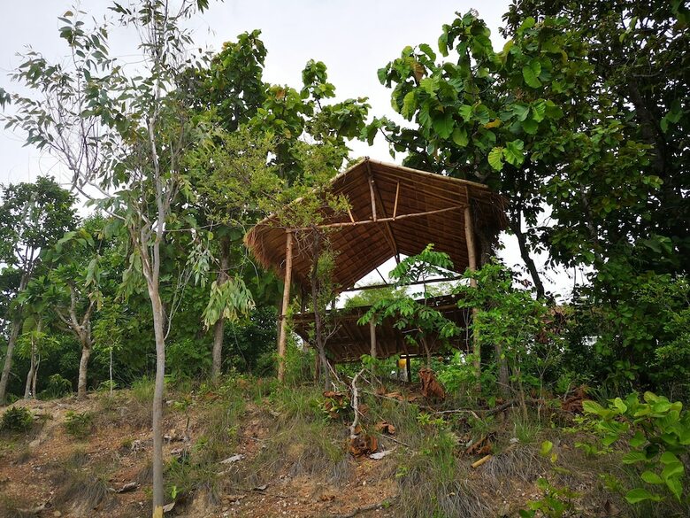 Hotel Amaravati Wellness Center And Resort