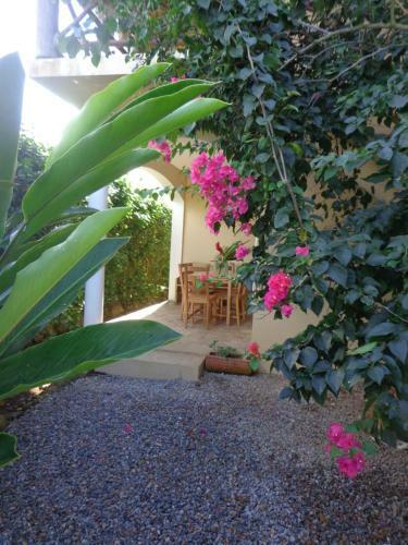 Aparthotel Residencia El Balat�
