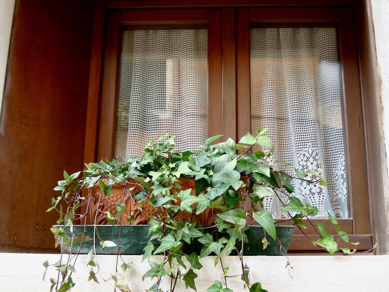 Apartamento Colombina House