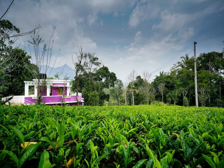 Hotel Oyo 13548 Leaf Garden Cottage