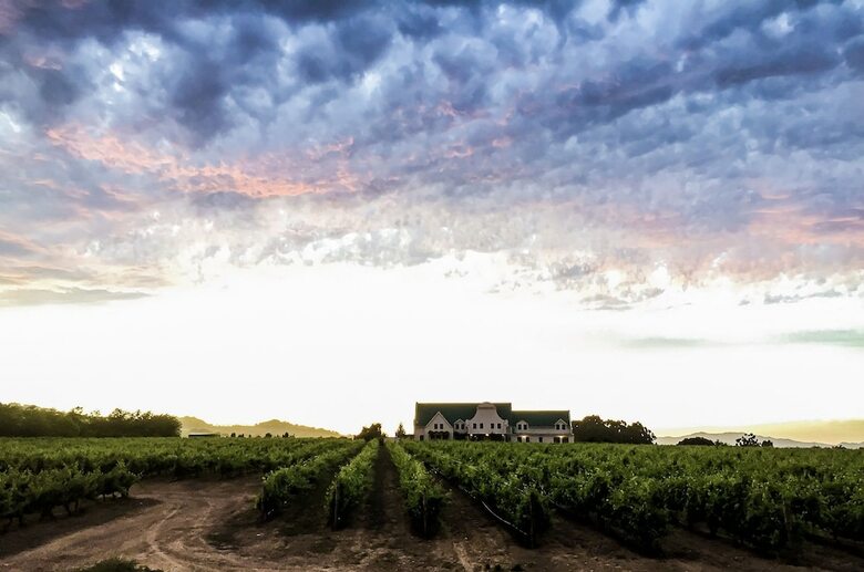 Hotel Cana Vineyard Guesthouse