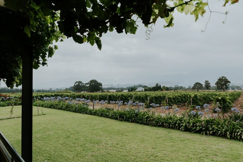 Hotel Cana Vineyard Guesthouse