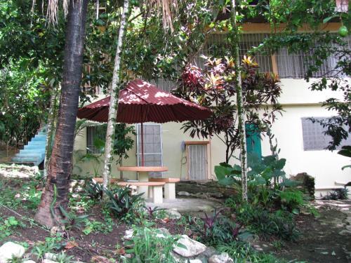 Bed & Breakfast Real Dominican Republic Discovery