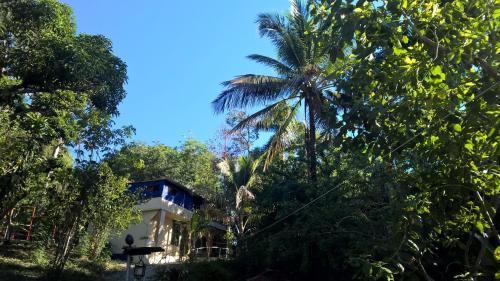 Bed & Breakfast Real Dominican Republic Discovery