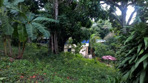 Bed & Breakfast Real Dominican Republic Discovery