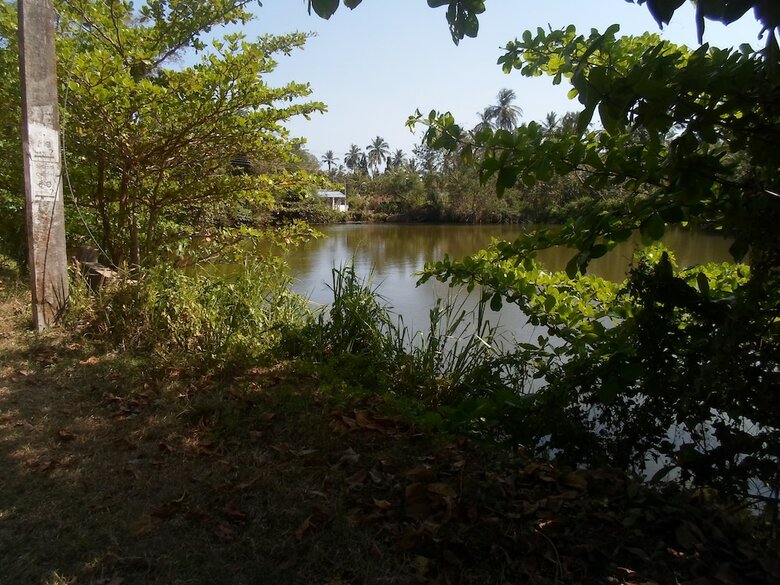 Hotel Amada Lake View Homestay