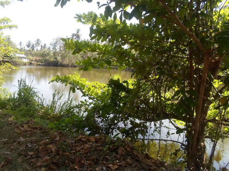 Hotel Amada Lake View Homestay