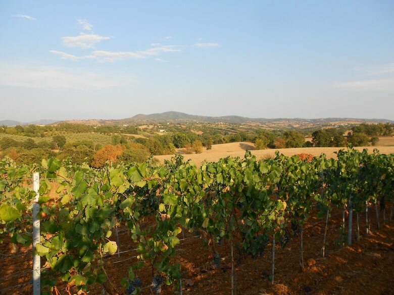 Agroturismo Agriturismo I Casamenti