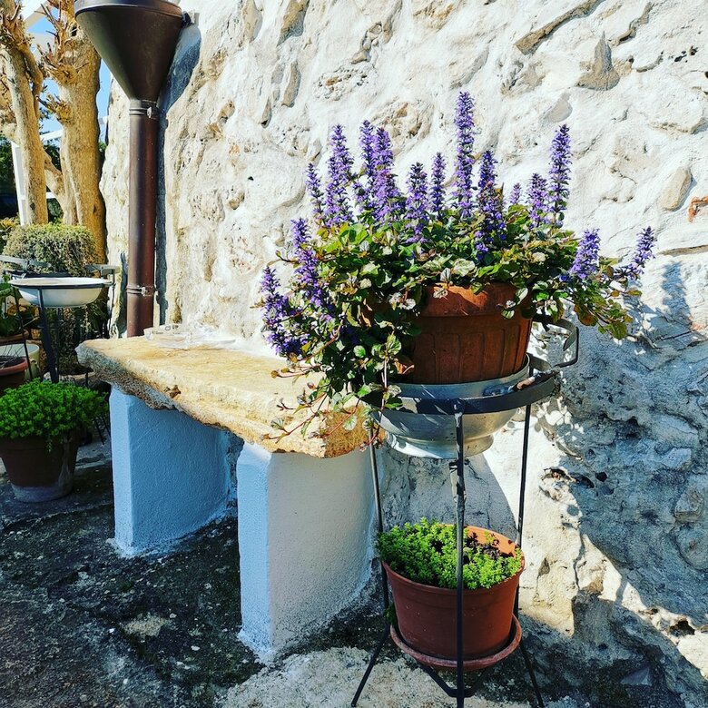 Trullo Madia With Shared Jacuzzi For A Memorable Stay In Nature And Relax
