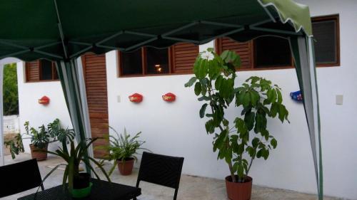 Hotel Bungalows Mazunte Tierra Viva