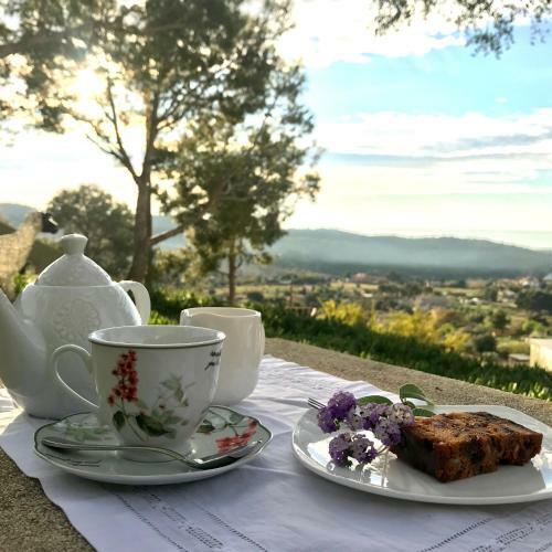 Bed & Breakfast Finca El Otero