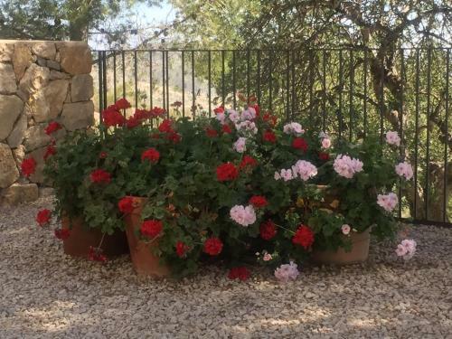 Bed & Breakfast Finca El Otero