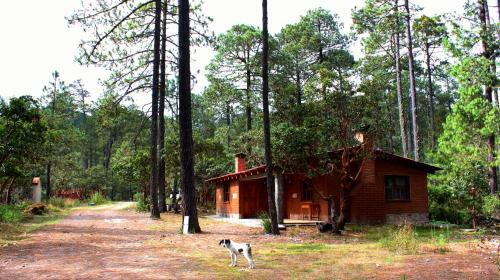 Lodge Centro Ecotur�stico Caba�as Llano Grande