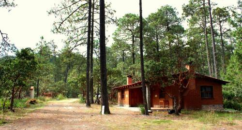 Lodge Centro Ecotur�stico Caba�as Llano Grande