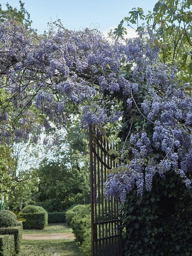 Bed & Breakfast Il Borgo Del Balsamico
