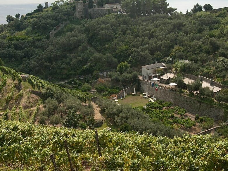 Agroturismo Agriturismo Buranco