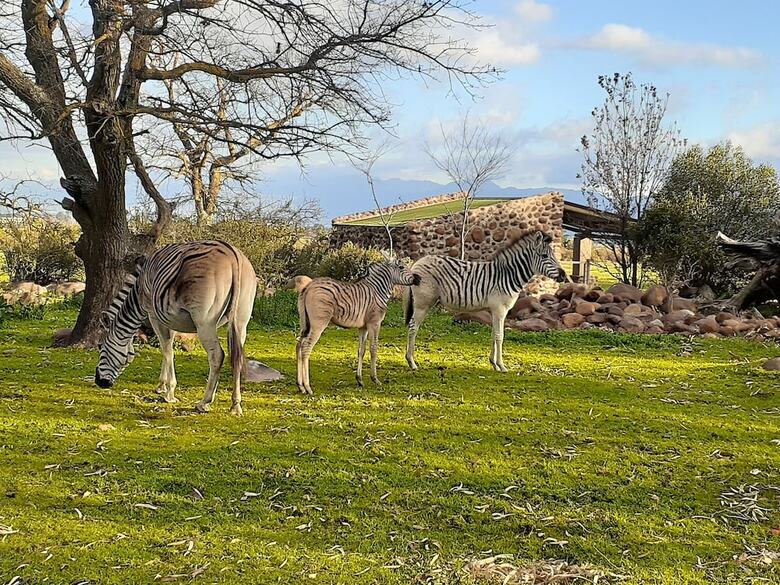 Posada Welbedacht Game & Nature Reserve