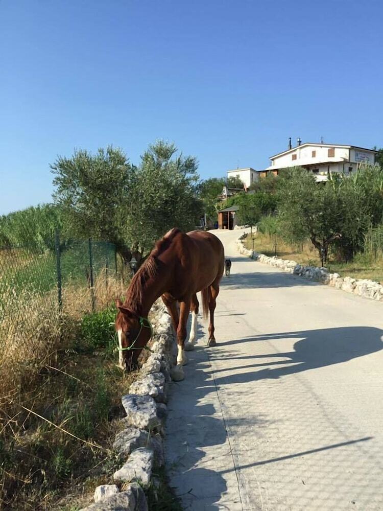 Agroturismo La Vecchia Fornace