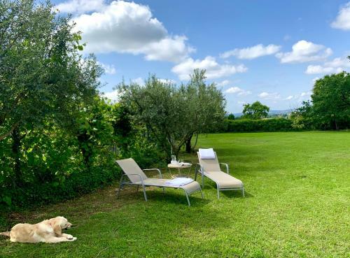 Relais Valpolicella B&B