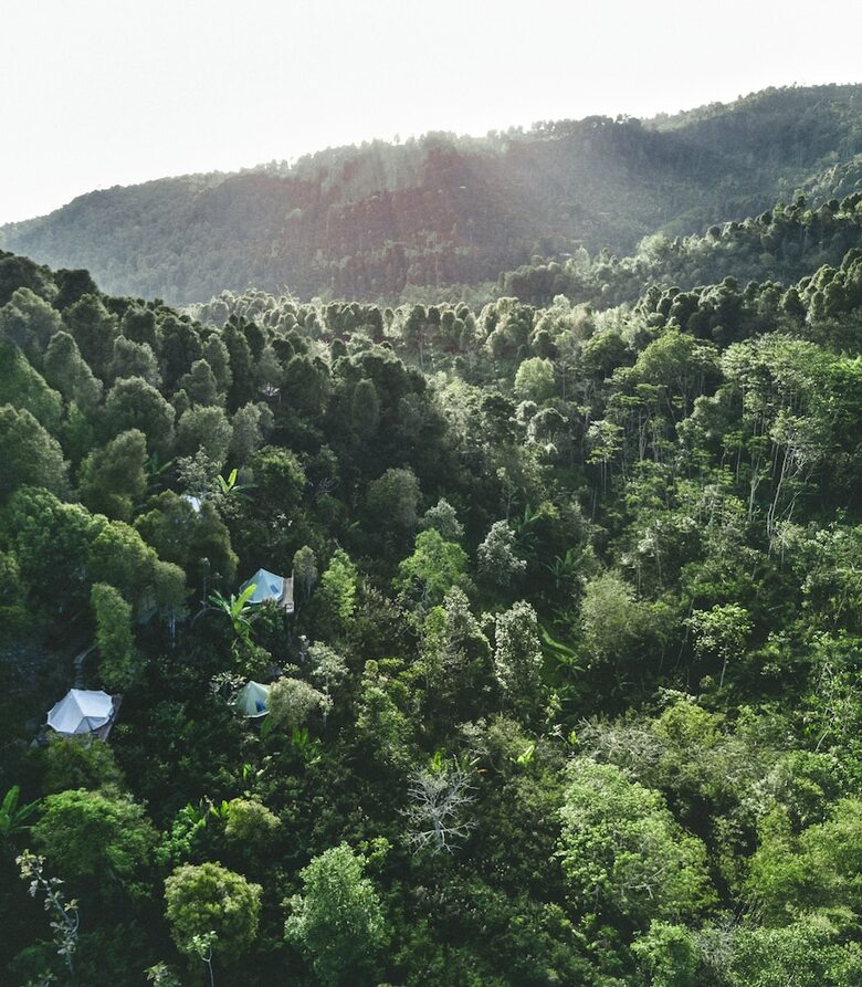 Hostal Ekommunity Farmstay & Yoga