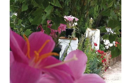 Holiday Home La R�bita