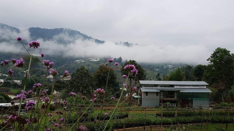 Hotel Mori Natural Farm