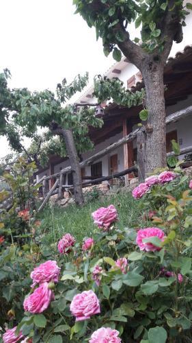 Bed & Breakfast Chorros Del R�o Mundo