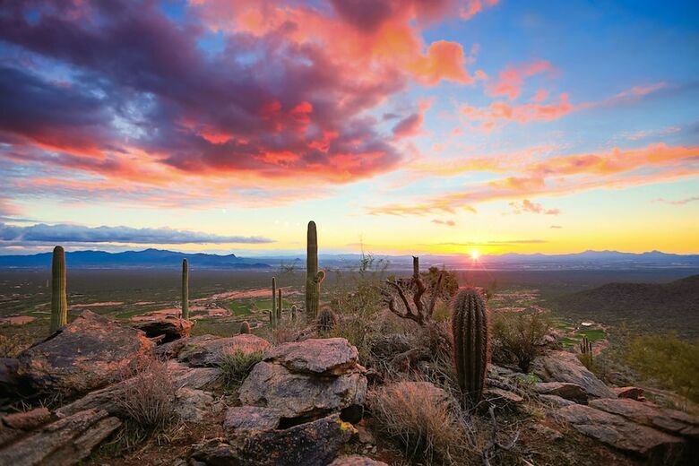 Desert Retreat 1br By Casago