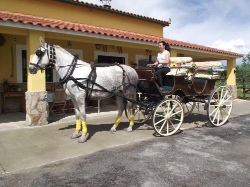 Hostal La Posada H�pica