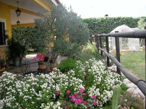 Hostal La Posada H�pica