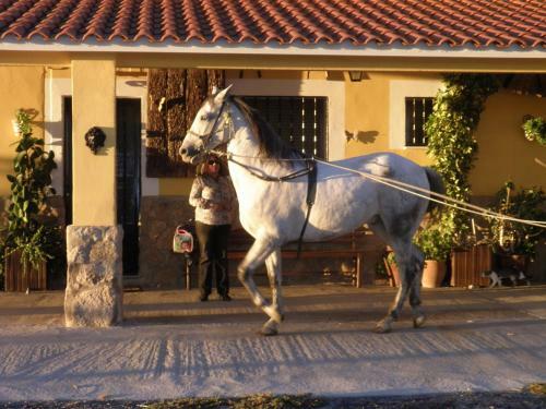Hostal La Posada H�pica
