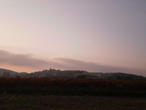 Apartamento Turistico Los Olivos
