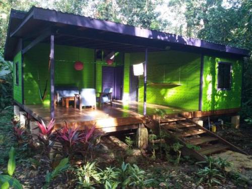 Bed & Breakfast El Tucan Jungle Lodge