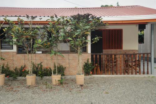 Villas Allen Puerto Viejo