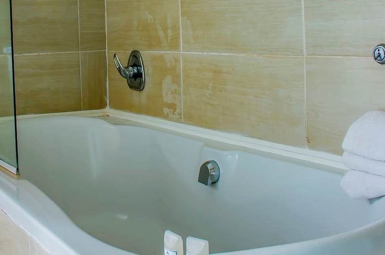 Hotel Four Seasons Lehae Guest House