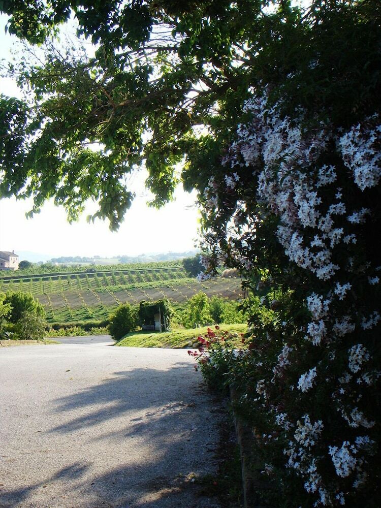 Agroturismo Casa Vecchia Agriturismo