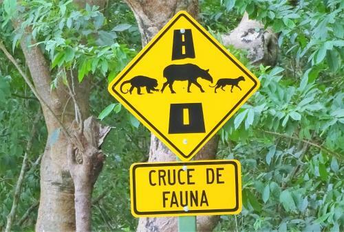 Bed & Breakfast La Colina Pura Vista